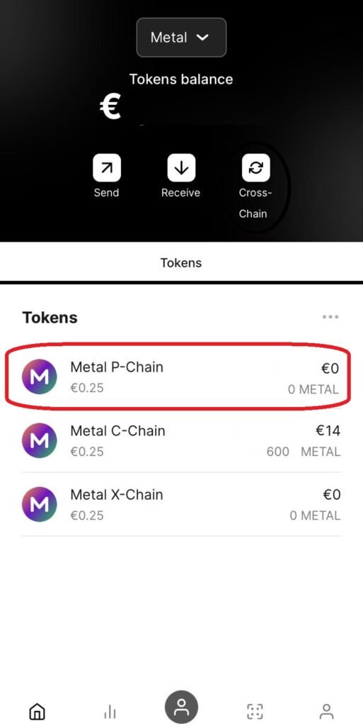 Pantalla de WebAuth con saldo en Metal C-Chain y P-Chain